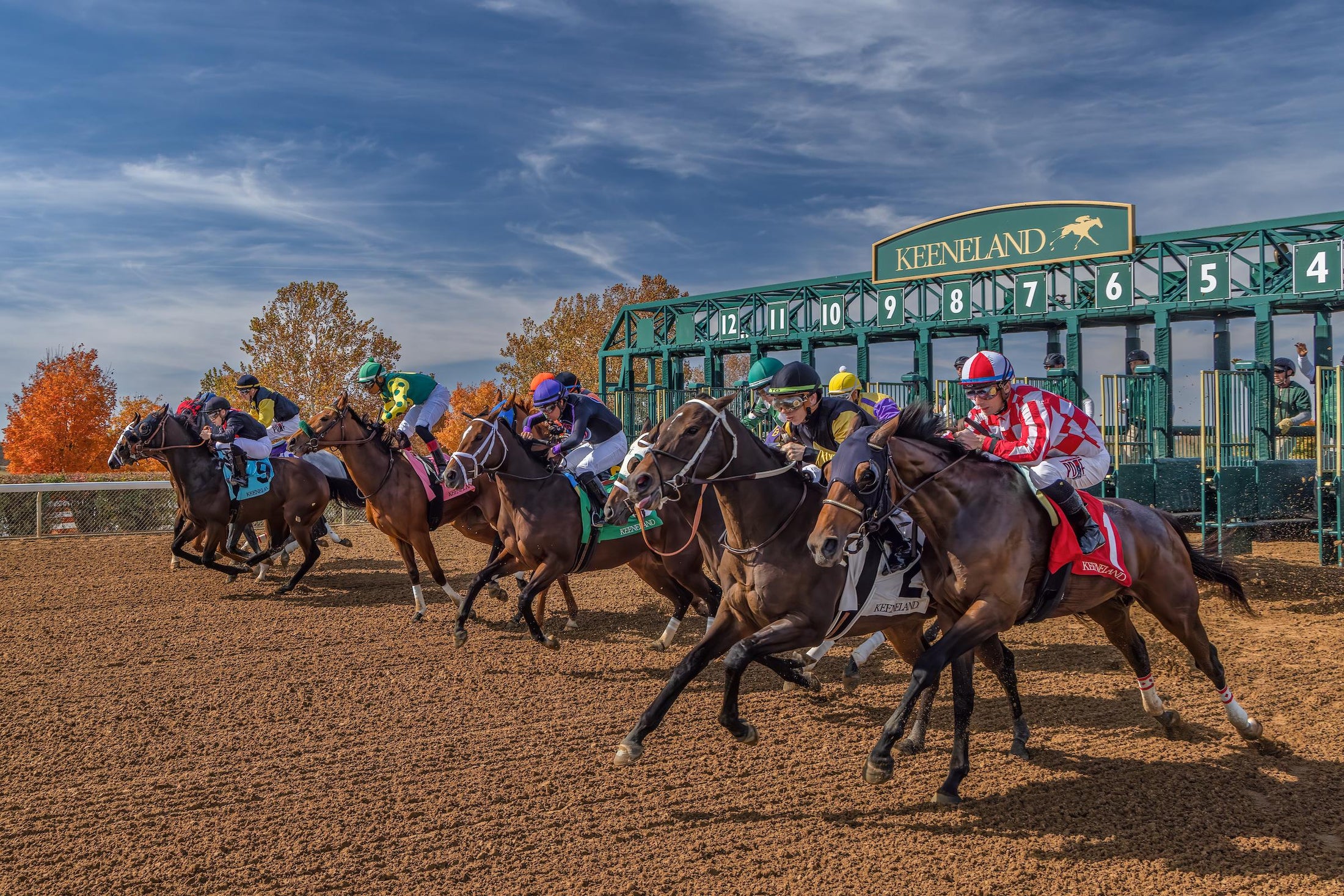 Lexington Fall Experience