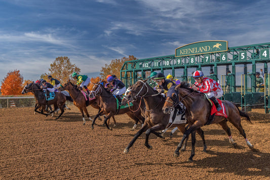 Lexington Fall Experience