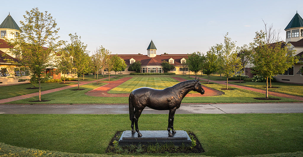 Lexington Summer Experiences