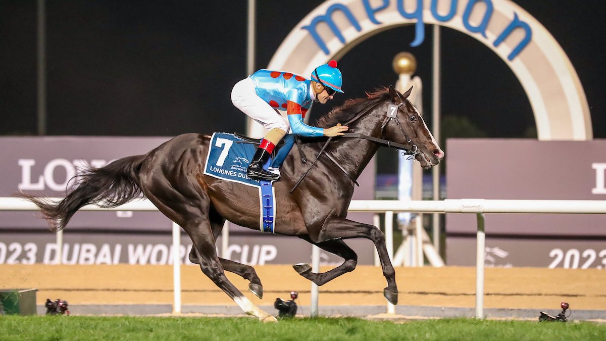 2025 Dubai World Cup Experience