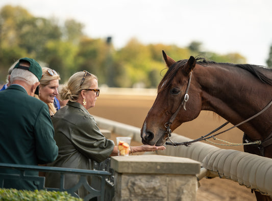 2026 Lexington Spring