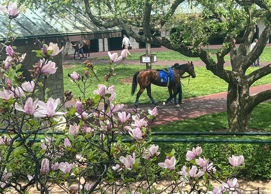 2026 Lexington Spring