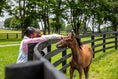 Load image into Gallery viewer, 2026 Lexington Fall Weekends
