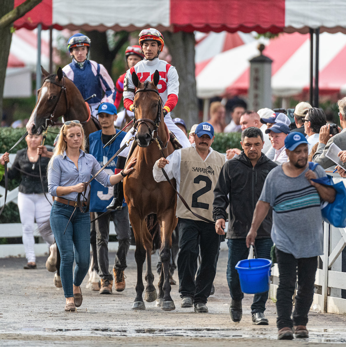 Saratoga Summer 2025