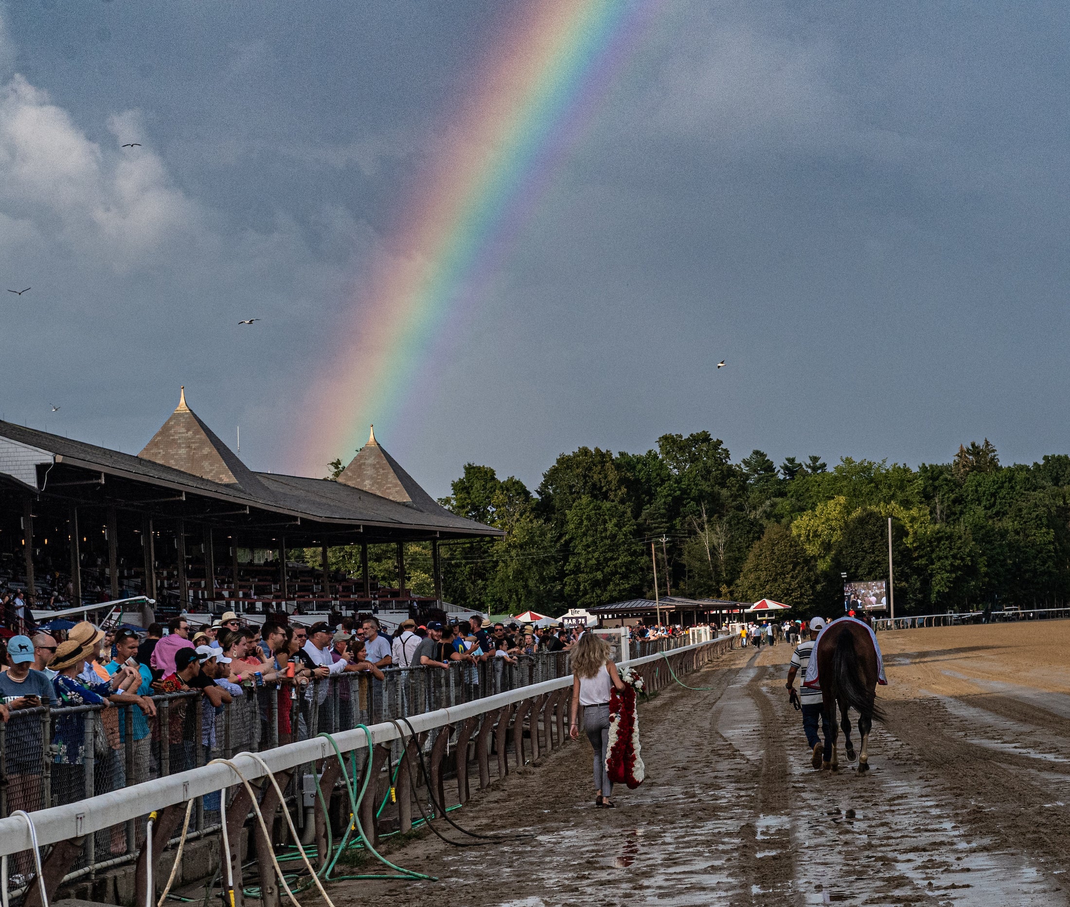 Saratoga Summer 2025