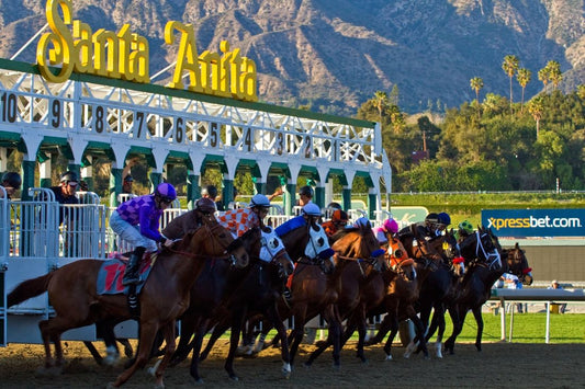 2026 Santa Anita Derby