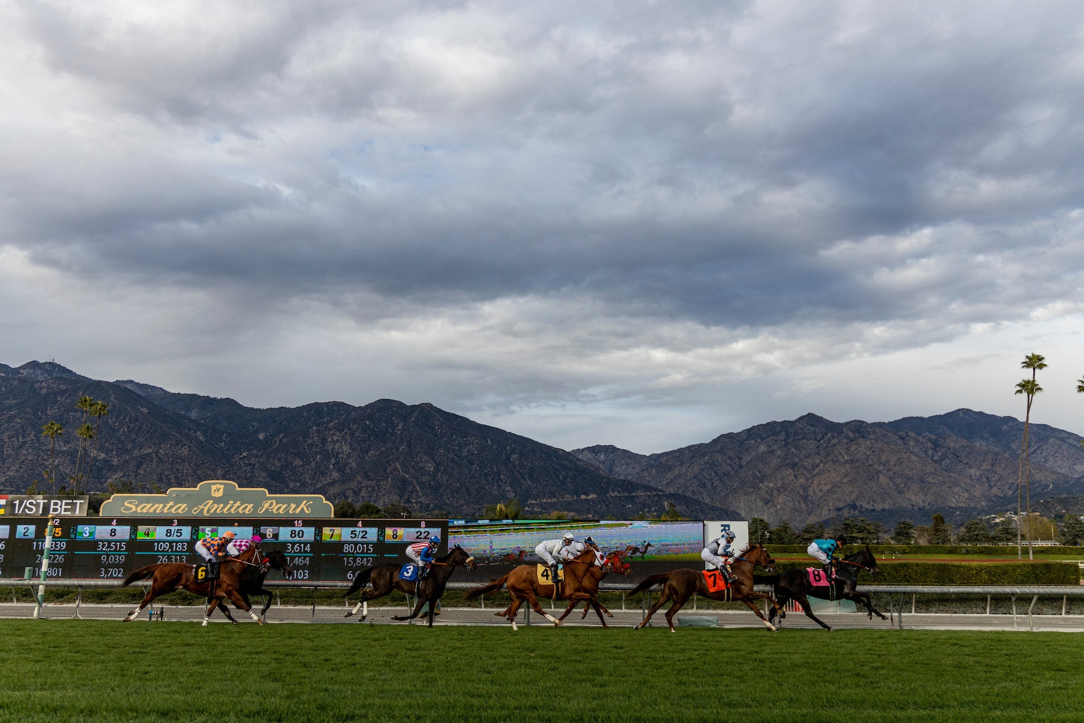 2026 Santa Anita Derby