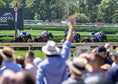 Load image into Gallery viewer, Saratoga Summer
