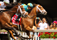 Load image into Gallery viewer, 2026 Preakness Stakes at Laurel Park
