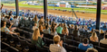 Load image into Gallery viewer, Del Mar Summer Experience 2026
