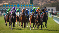 Load image into Gallery viewer, Del Mar Summer Experience 2026
