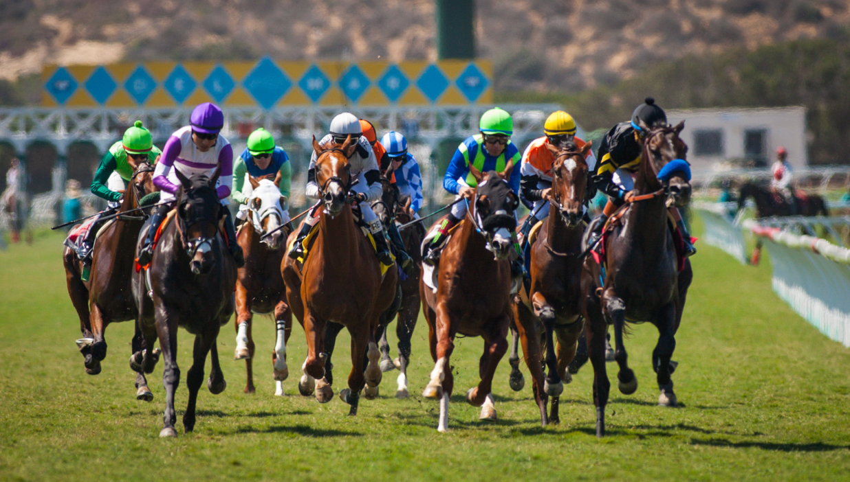 Del Mar Summer Experience 2026