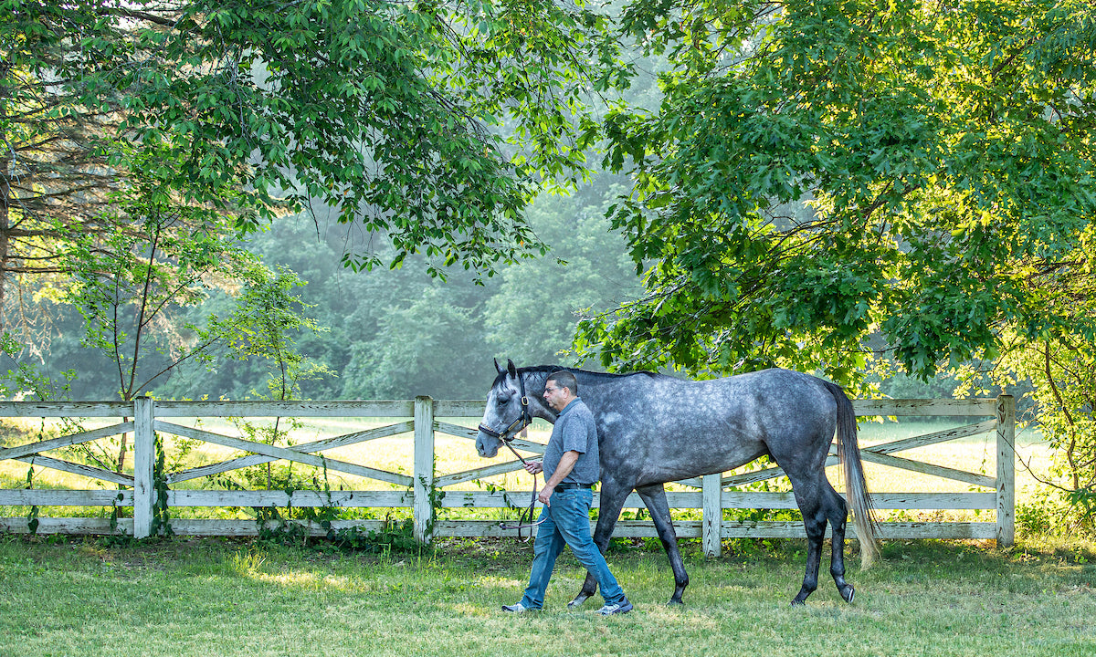 Saratoga Summer 2025