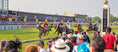 Load image into Gallery viewer, 151st Preakness Stakes

