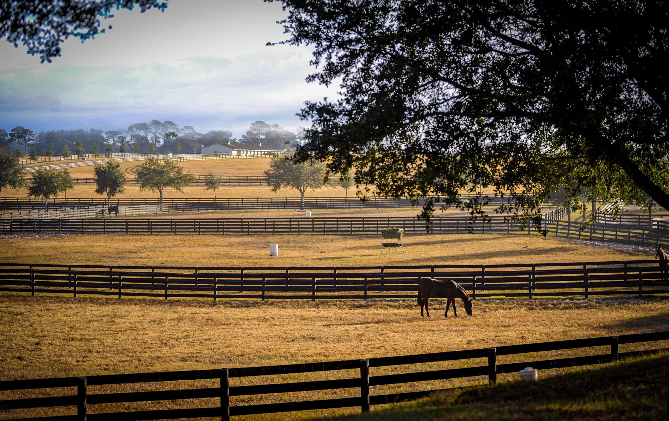 Ocala Farm Tours