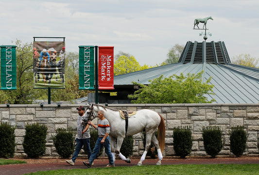 Lexington Spring Experiences