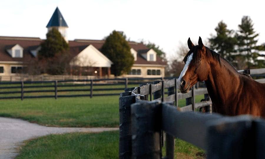 Lexington Summer Experiences