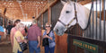 Load image into Gallery viewer, A Night Out with Champions
