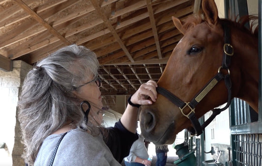 Ocala Farm Tours