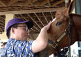 Load image into Gallery viewer, Ocala Farm Tours
