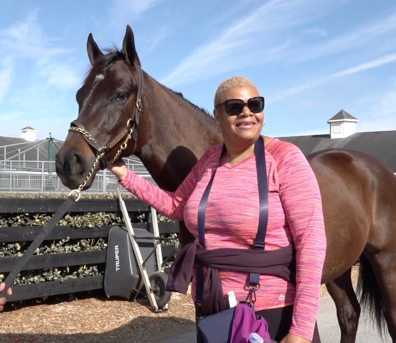 Ocala Farm Tours