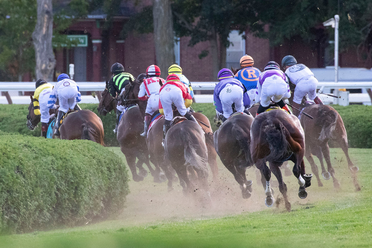 Saratoga Summer