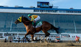 Load image into Gallery viewer, 2026 Preakness Stakes at Laurel Park
