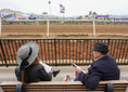 Load image into Gallery viewer, Del Mar Summer
