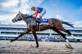 Load image into Gallery viewer, Florida Derby
