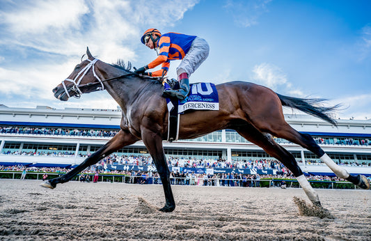 Florida Derby