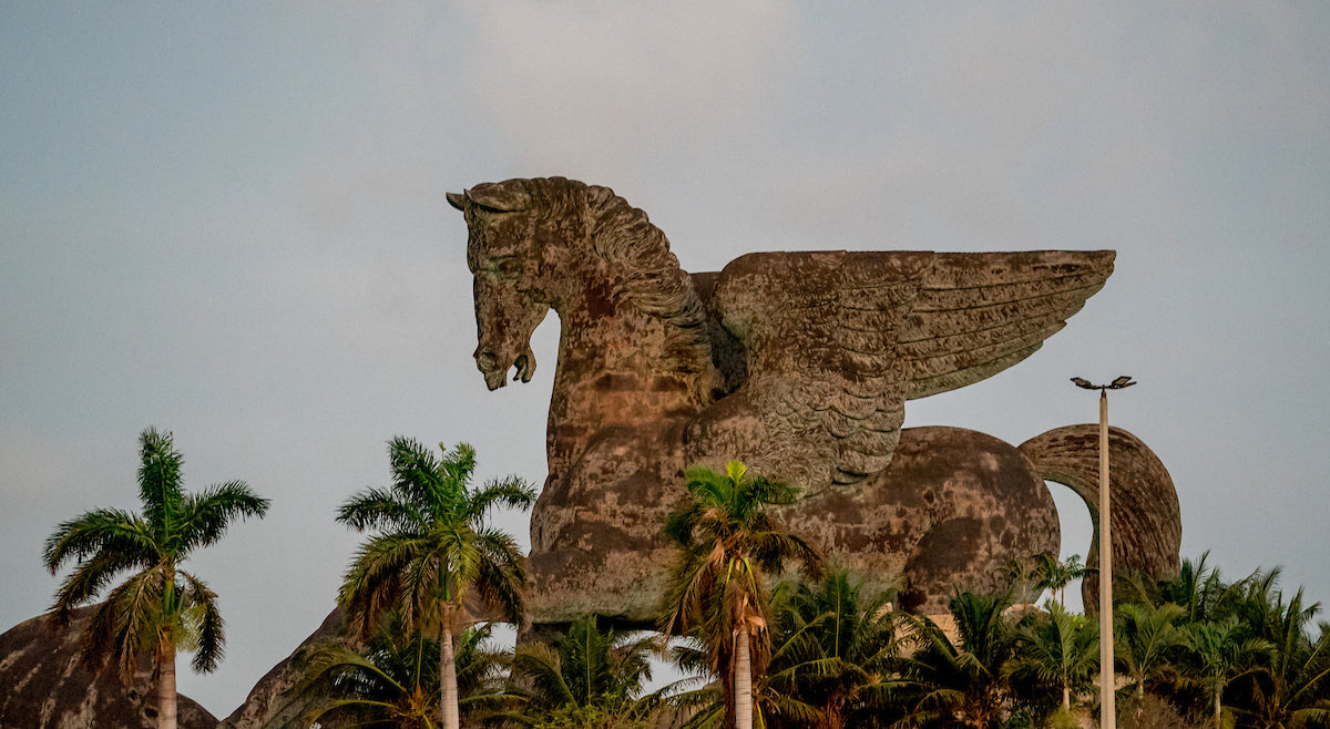 Pegasus World Cup Experience