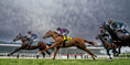 Load image into Gallery viewer, 2026 Preakness Stakes at Laurel Park

