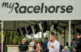 Load image into Gallery viewer, Pegasus World Cup Experience
